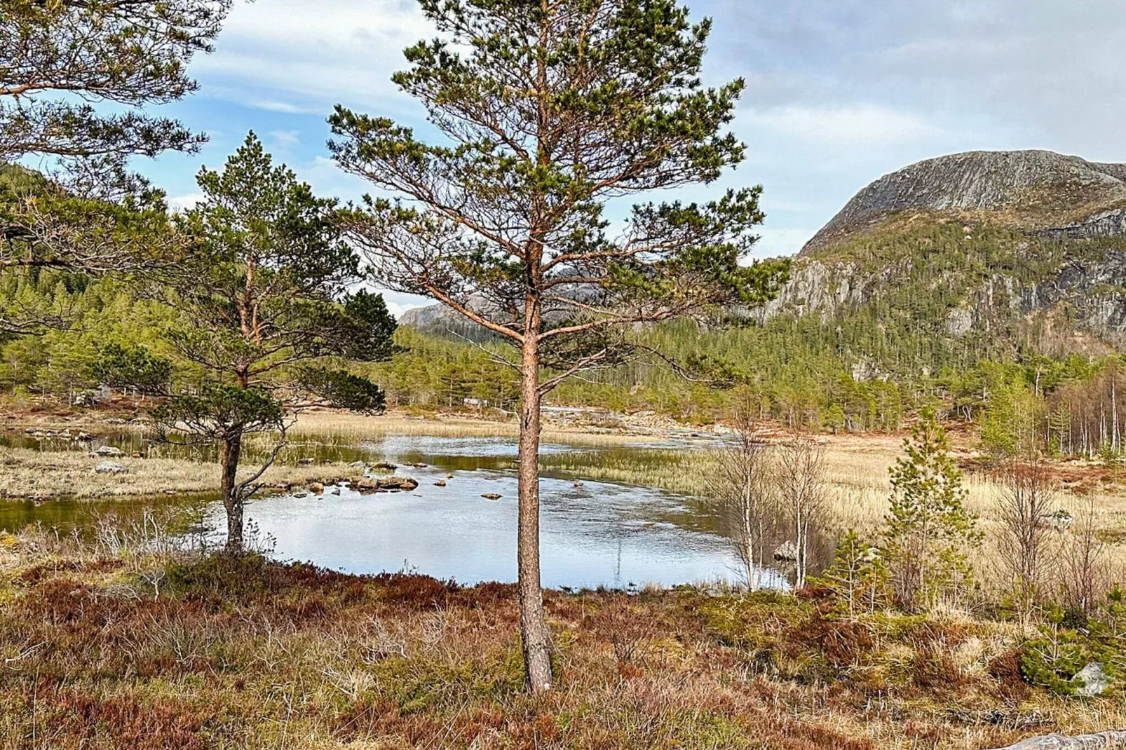 4 person holiday home in Lysøysundet-Not tagged