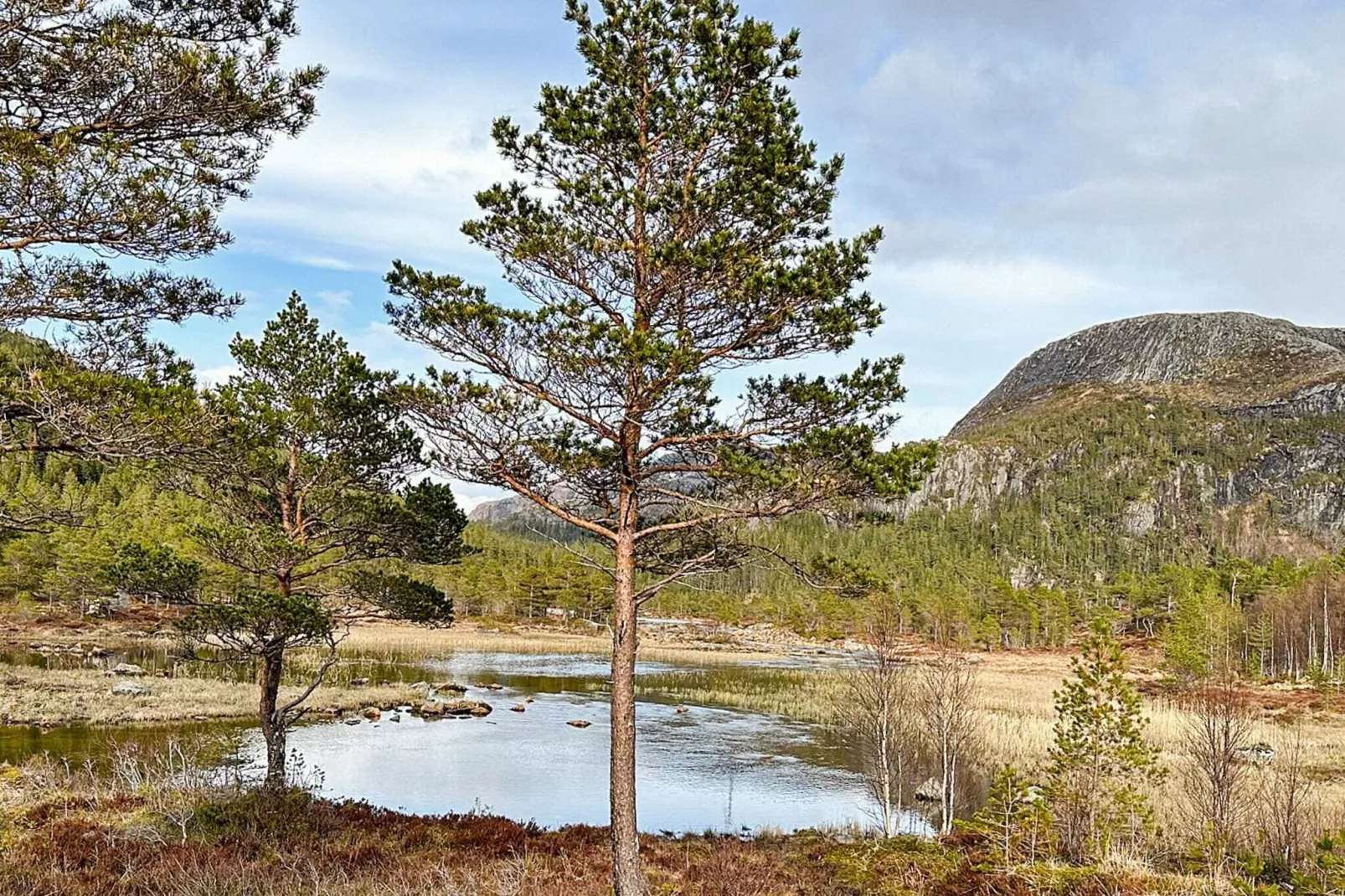 4 person holiday home in Lysøysundet-Not tagged