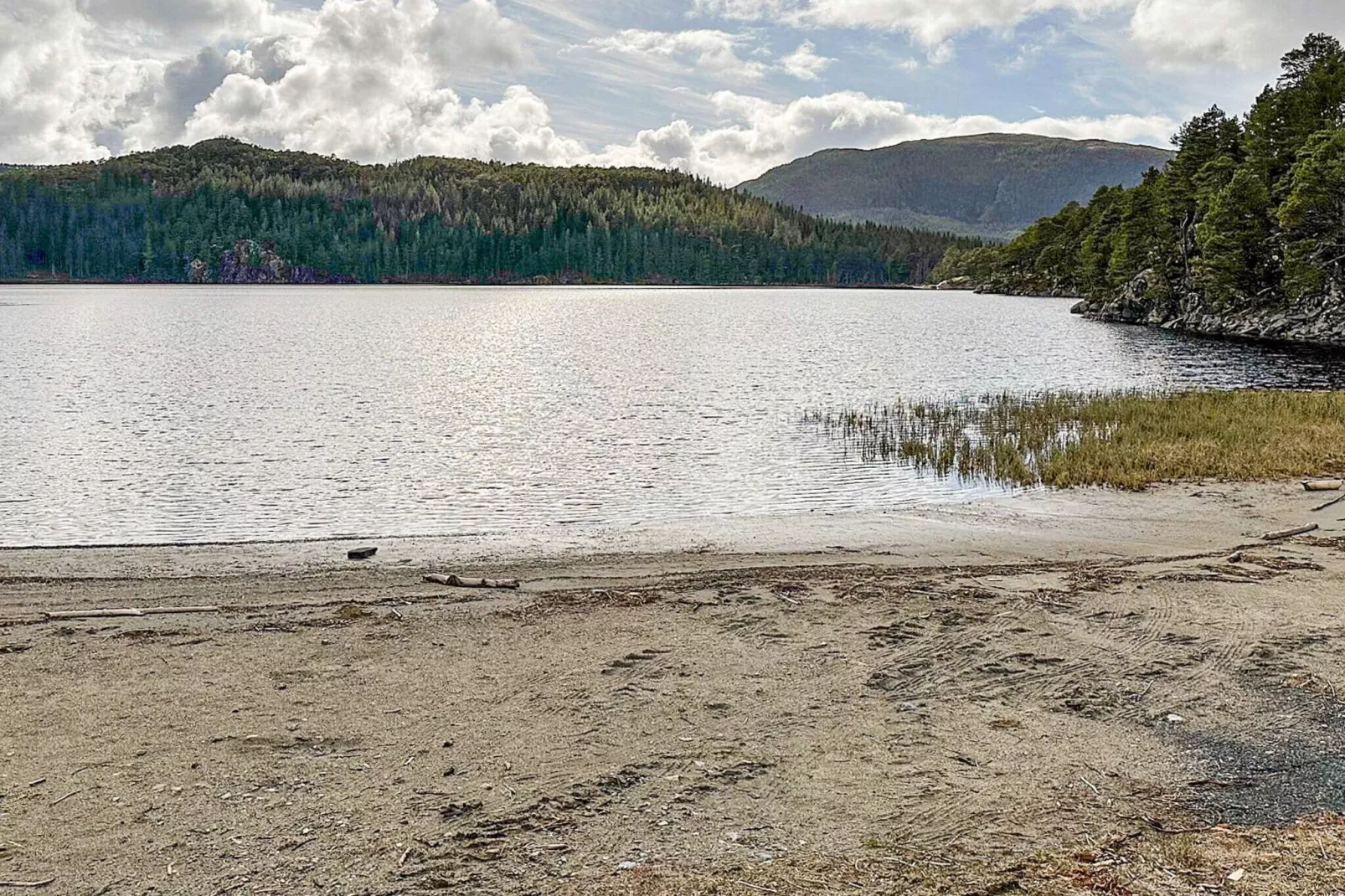 4 person holiday home in Lysøysundet-Not tagged