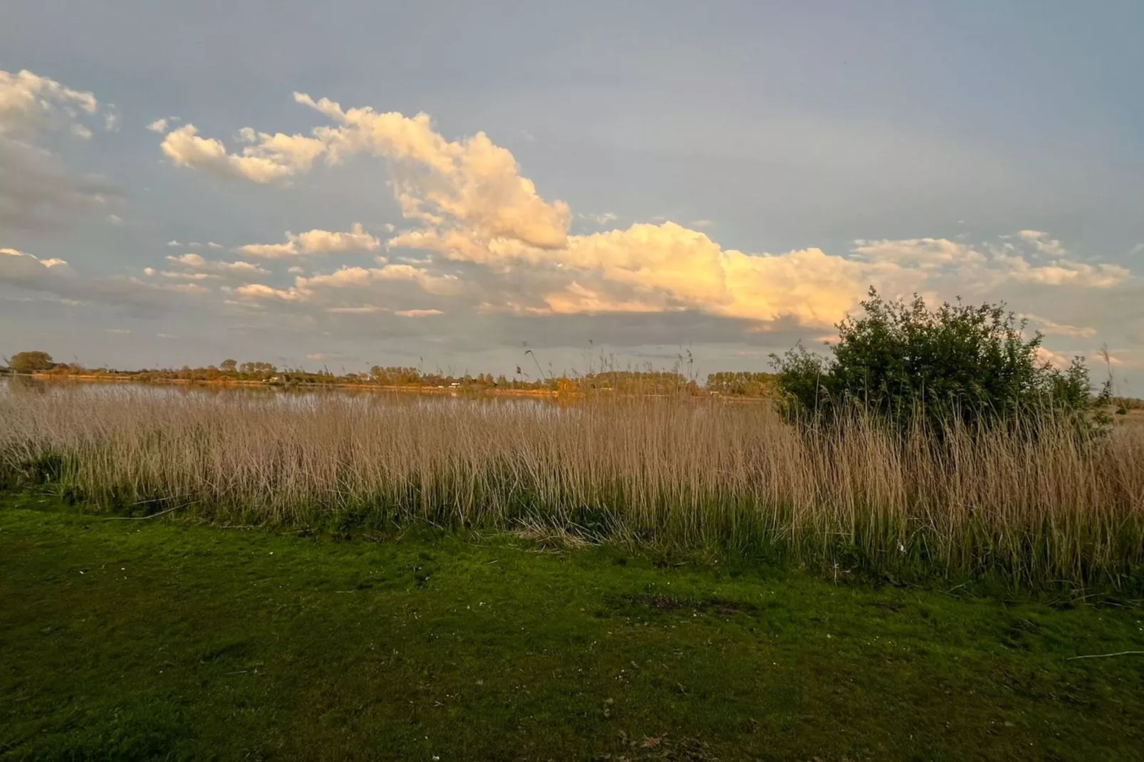 Familiehuis in Noordwijkerhout-Areas summer 1km