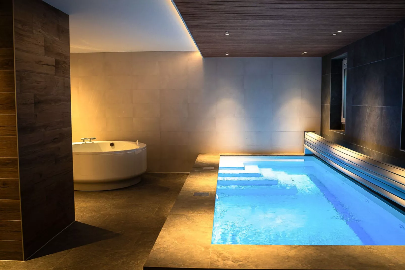 Veluwe Villa Wellness-Pool