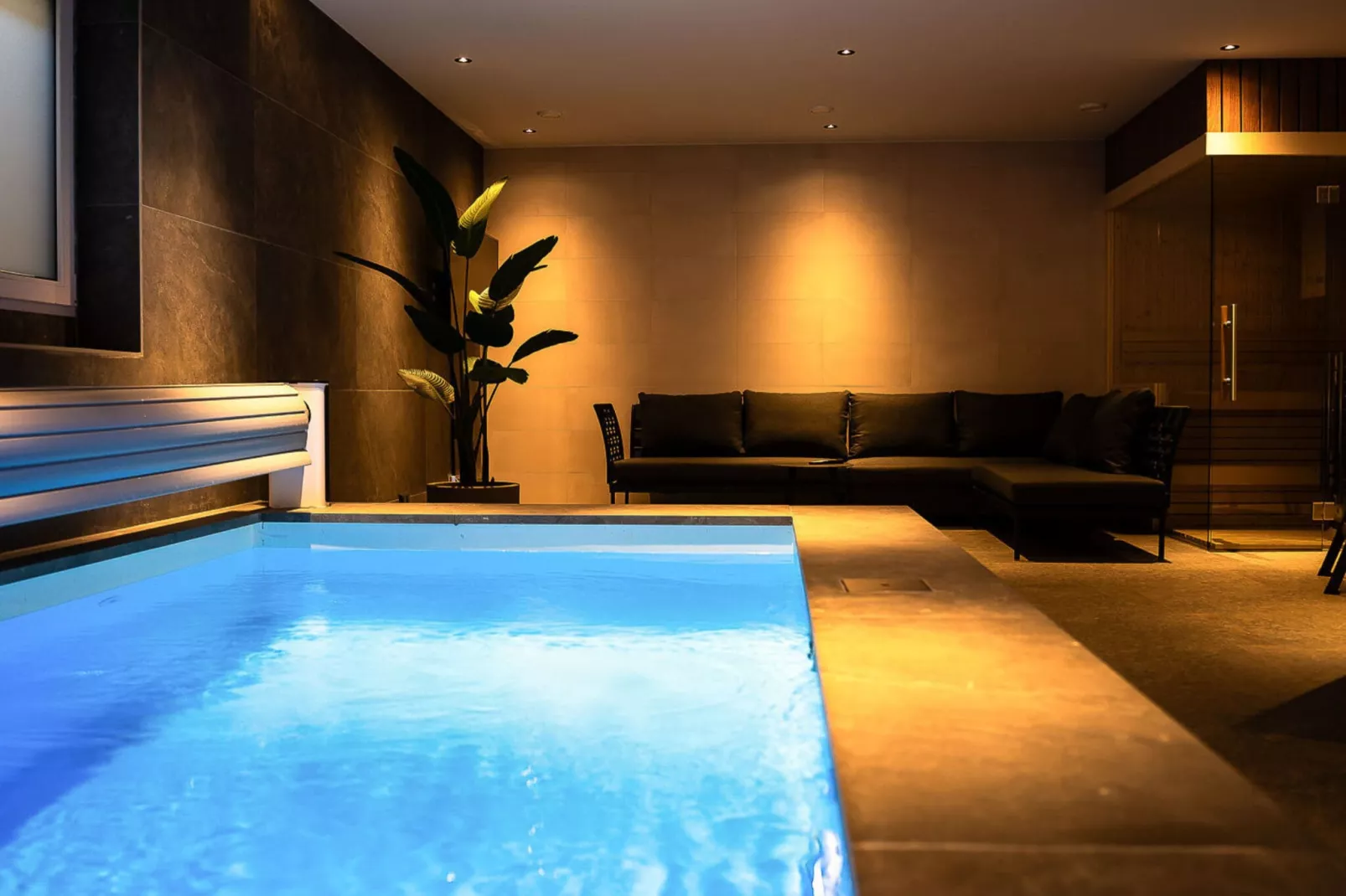 Veluwe Villa Wellness-Pool