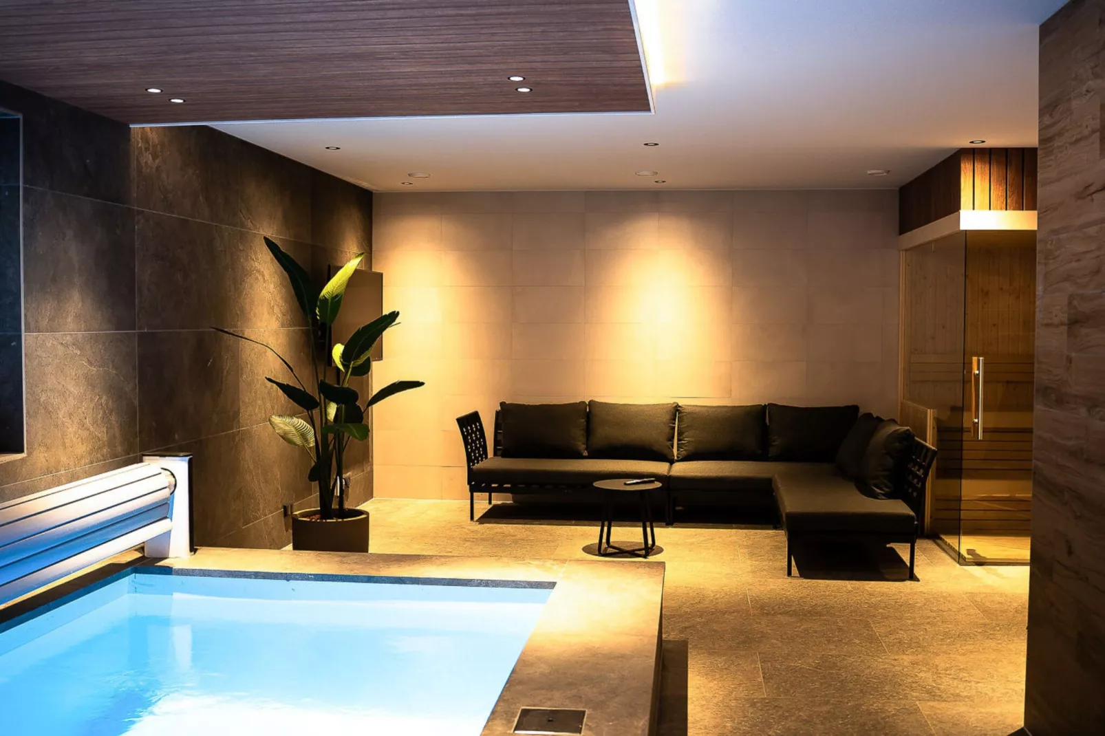 Veluwe Villa Wellness-Pool