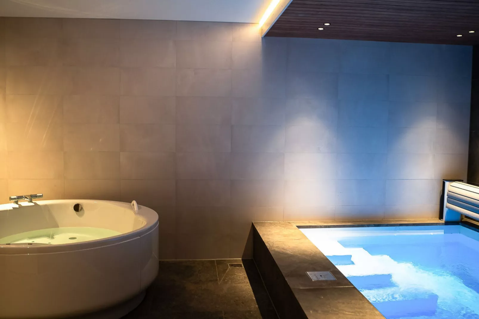 Veluwe Villa Wellness-Pool