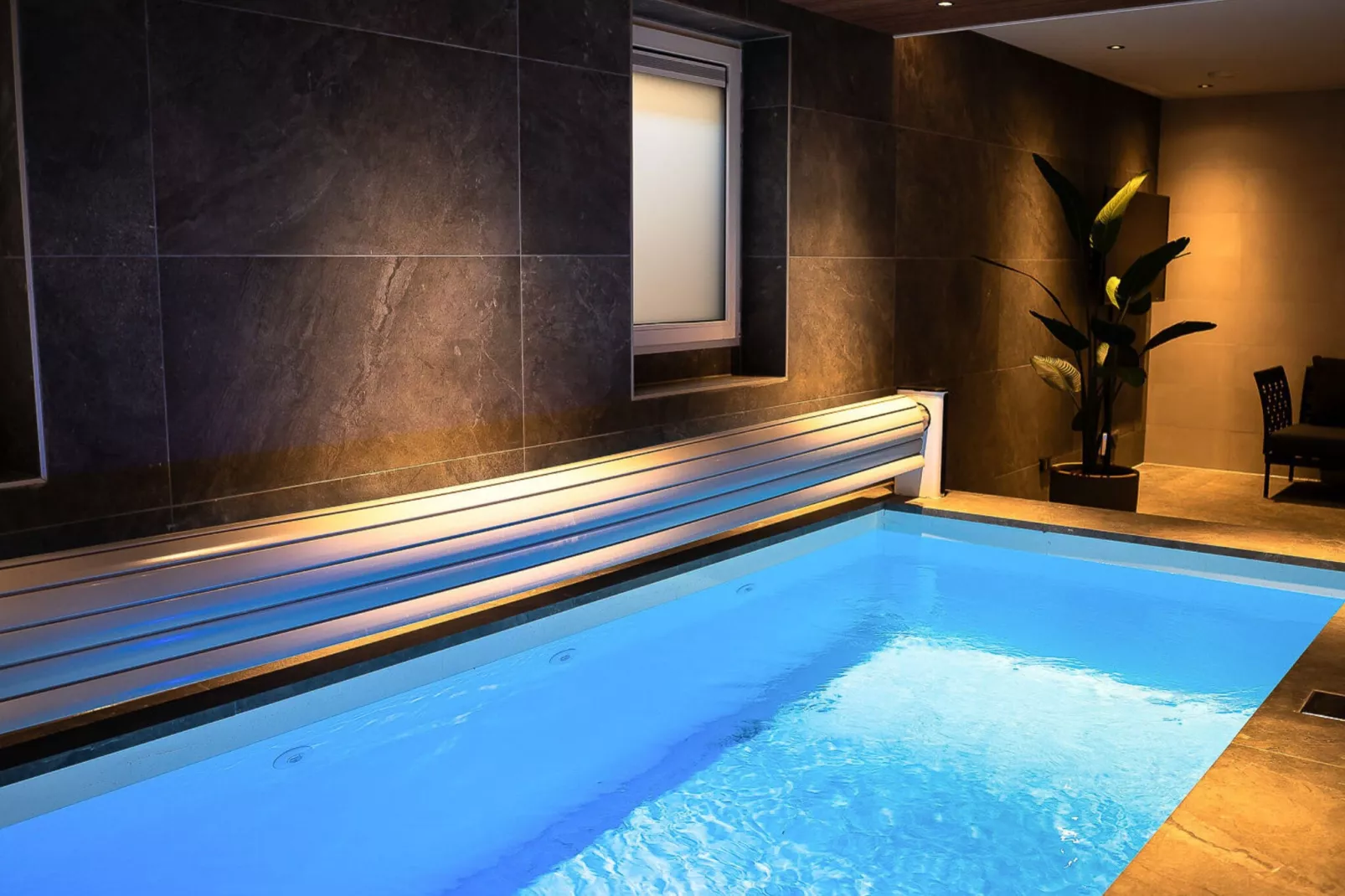 Veluwe Villa Wellness-Pool