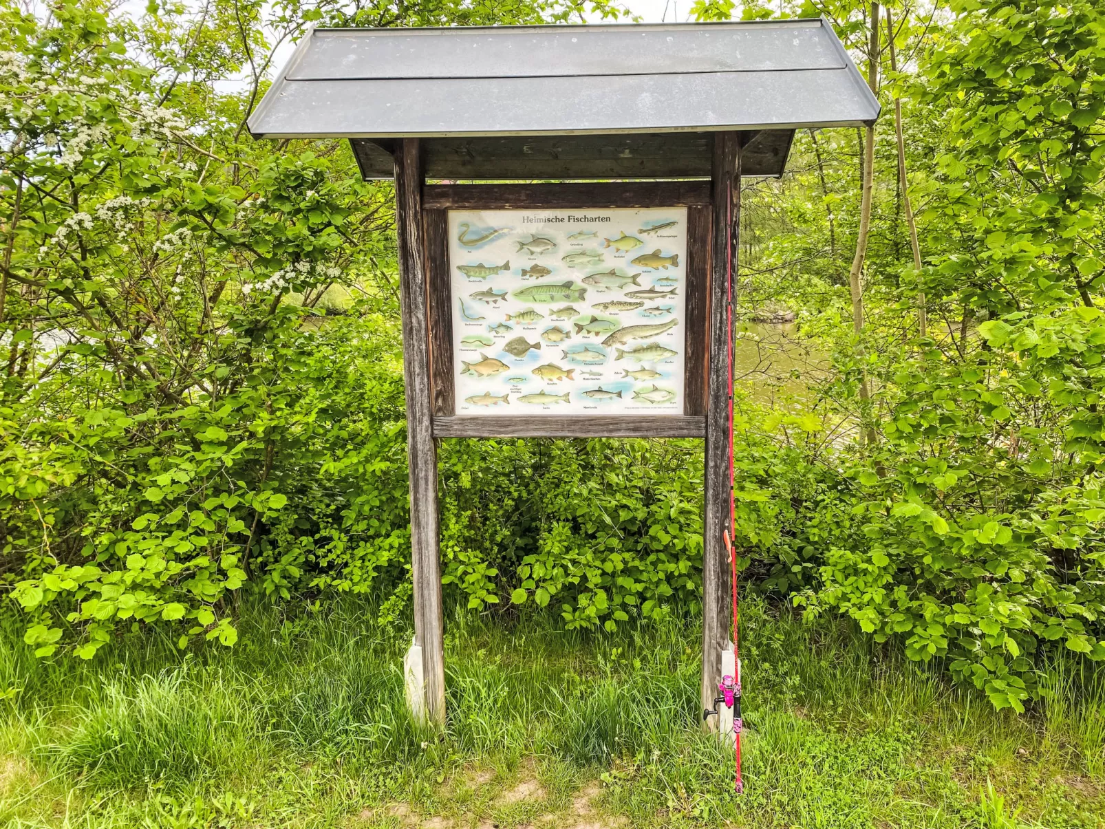 Tiny Haus Christas Angler-Oase-Outside
