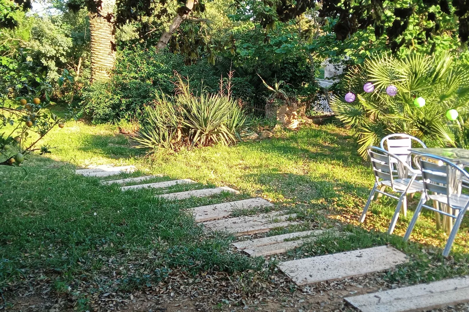 Les Corts de CAL VIRREI-Jardin d'été