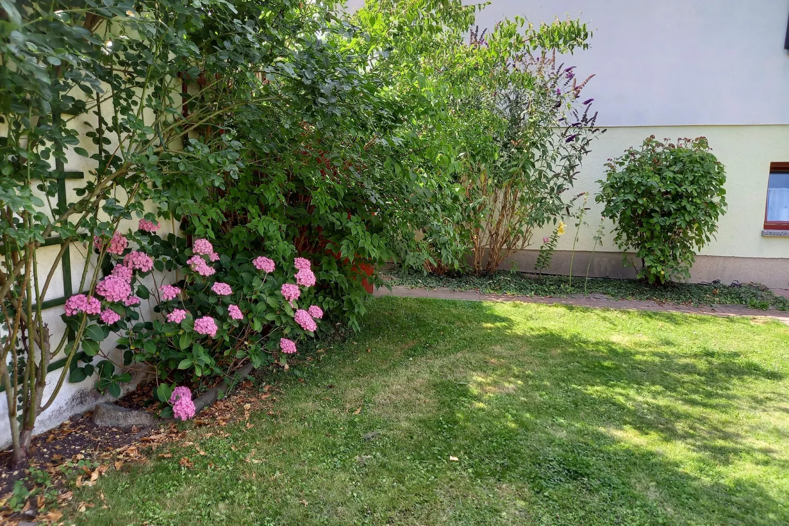 Sonnenblume-Exterior summer