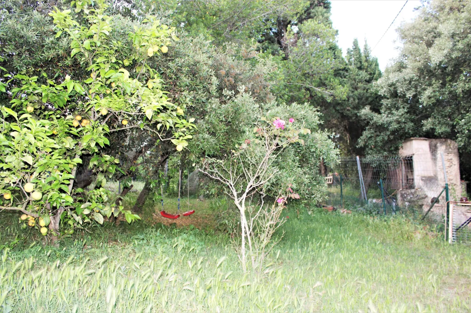 Les Corts de CAL VIRREI-Jardin d'été