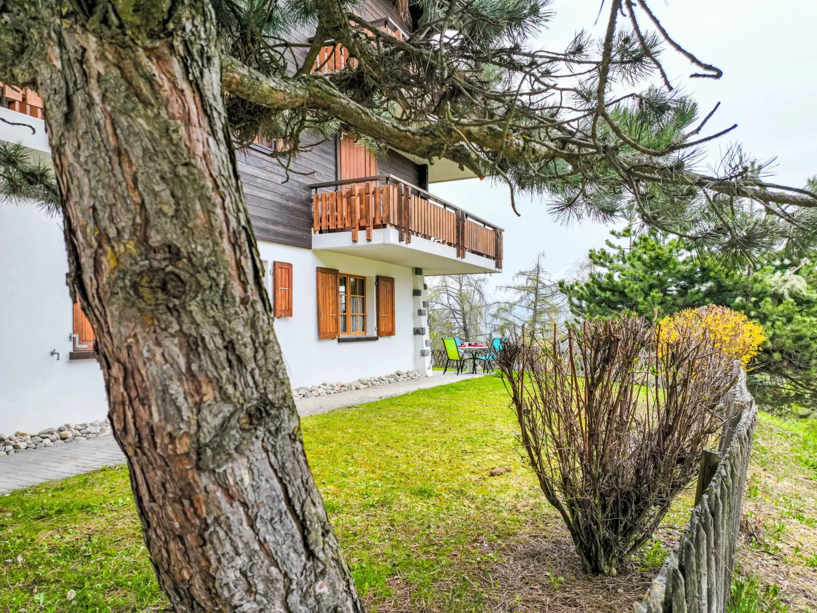 Chamois AZ1-Outside