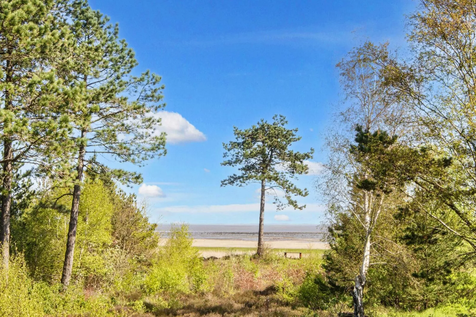 Maison de vacances pour 4 a Rømø-Vue