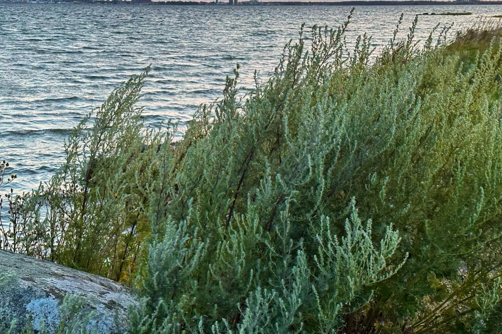 4 person holiday home in FÄRJESTADEN-Not tagged