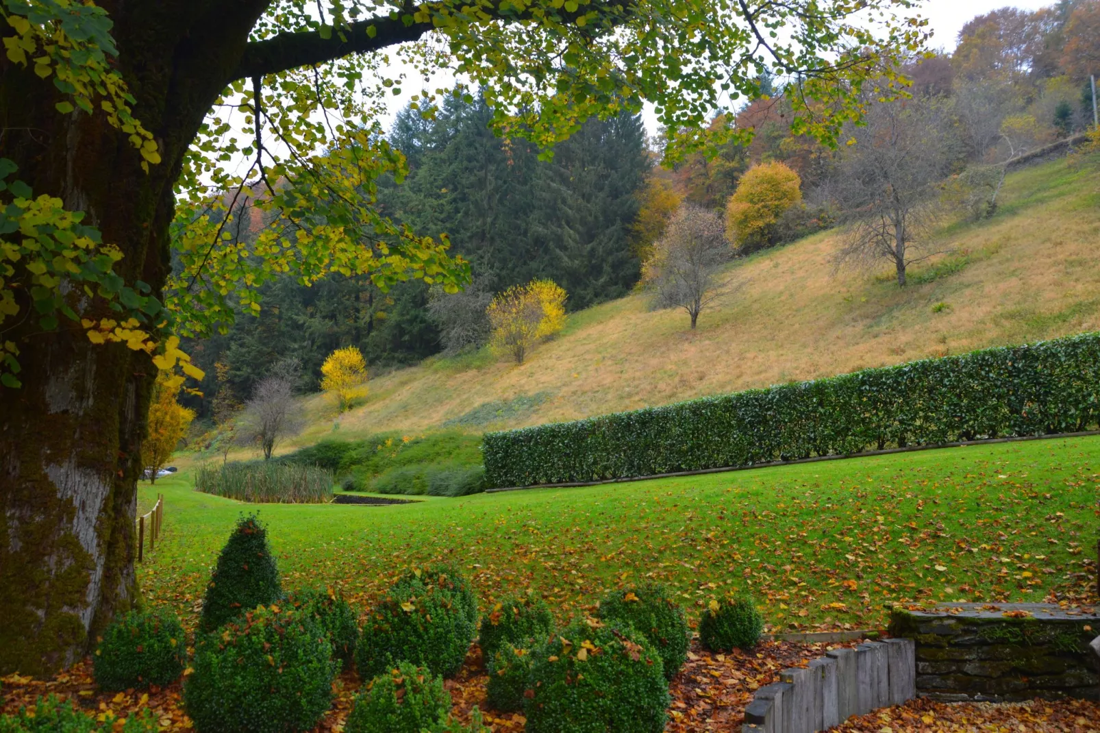 Le Vieux Moulin 22-Jardin d'été
