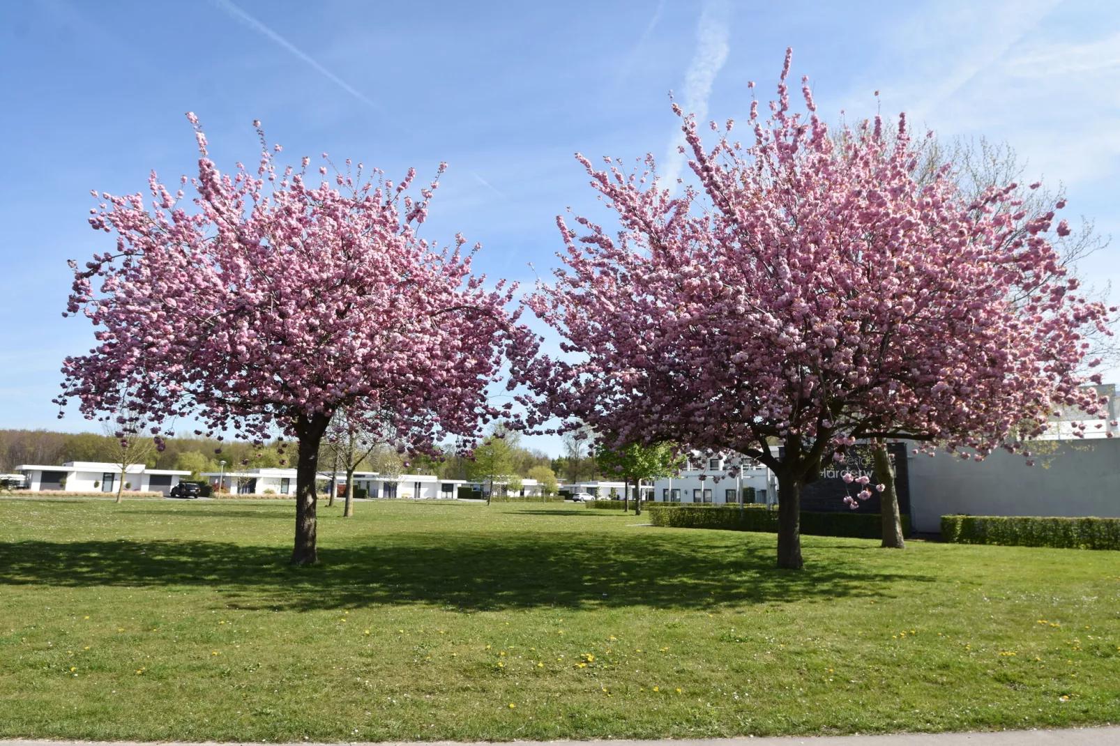 Watervilla Harderwold 577a-Areas summer 1km