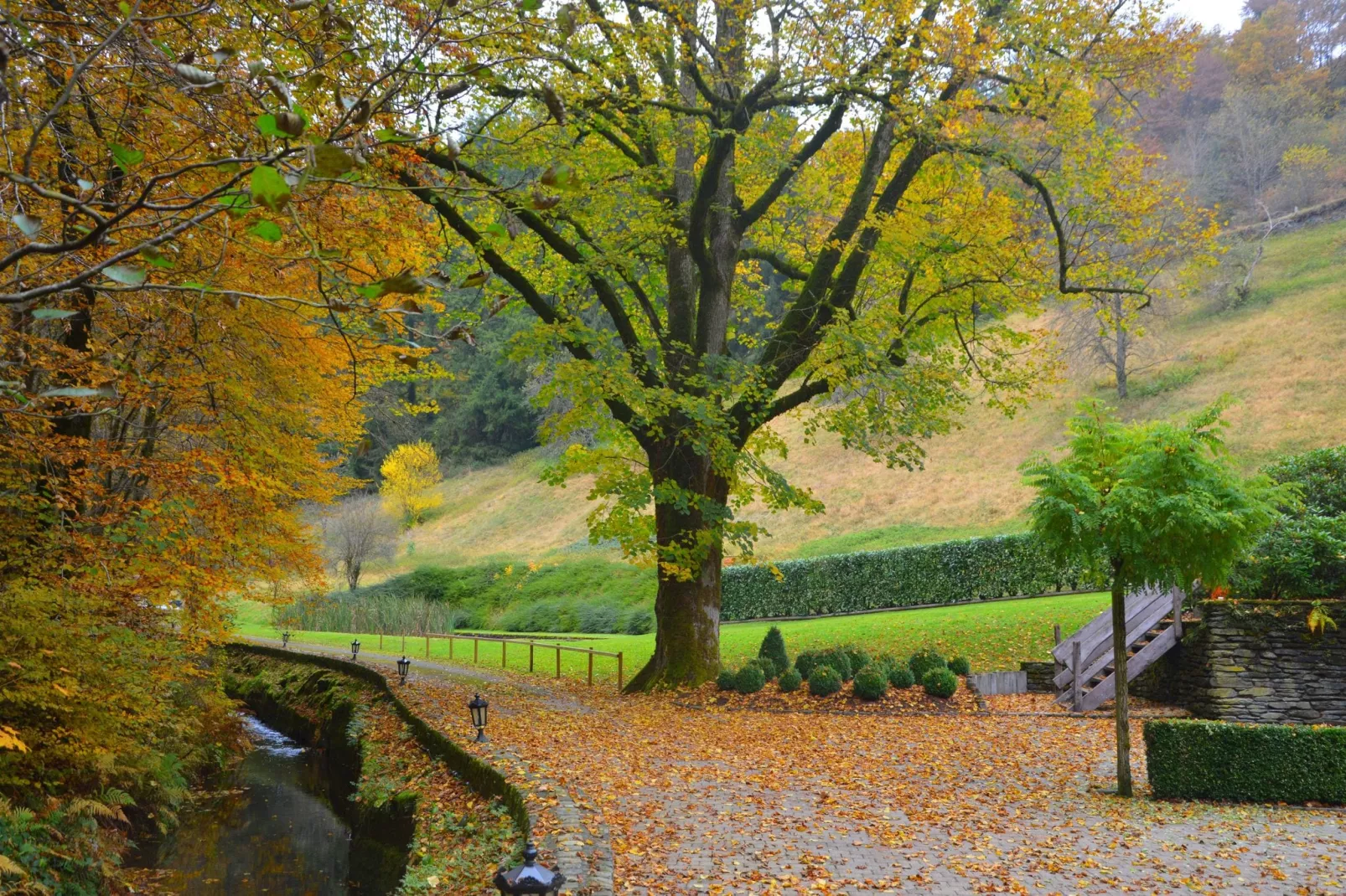 Le Vieux Moulin 16-View summer