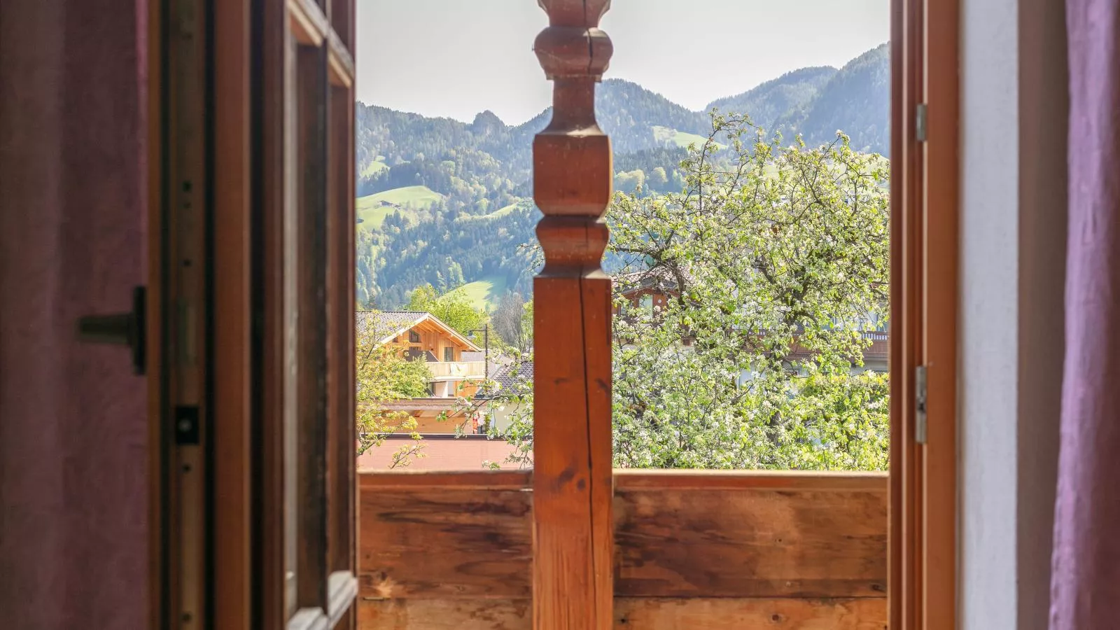Seppen Top 3-View summer
