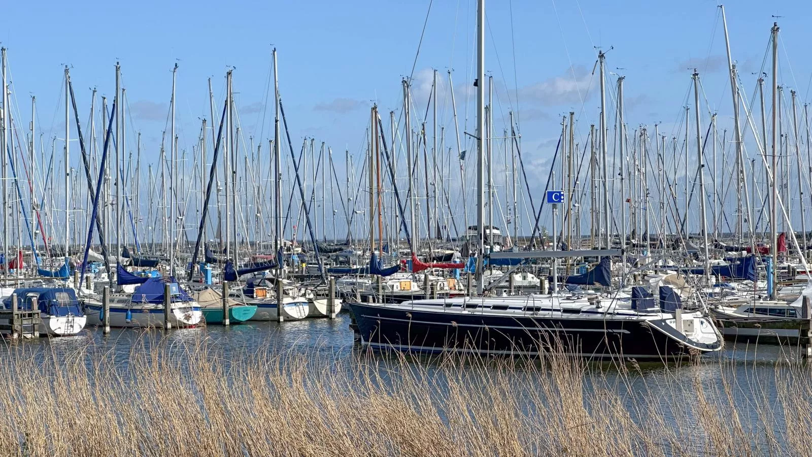 Weeshuis Groot-Gebiete Sommer 1 km