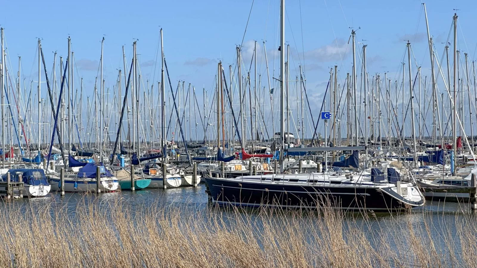 Combi grote en kleine weeshuis-Gebiete Sommer 1 km