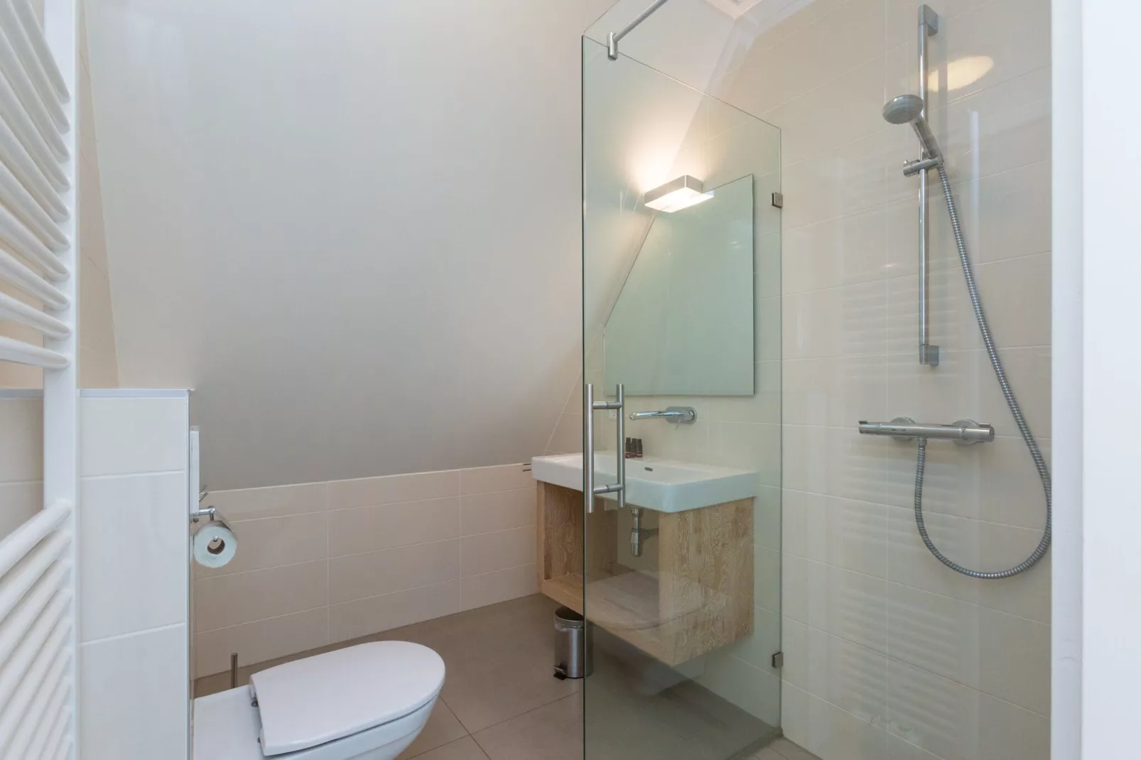 Friese Meren Villa's 15-Bathroom