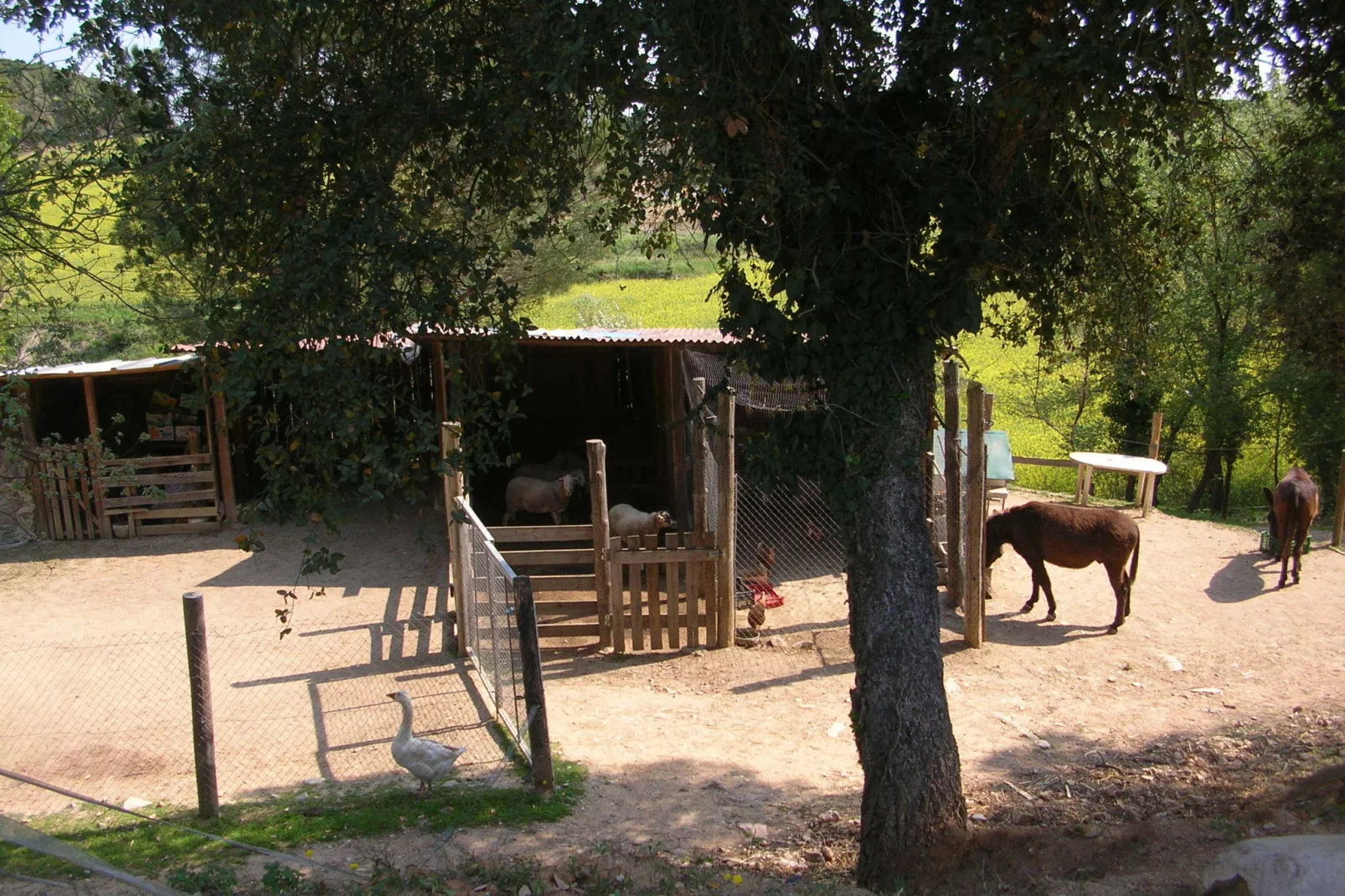 Can Rajoler-Facilities