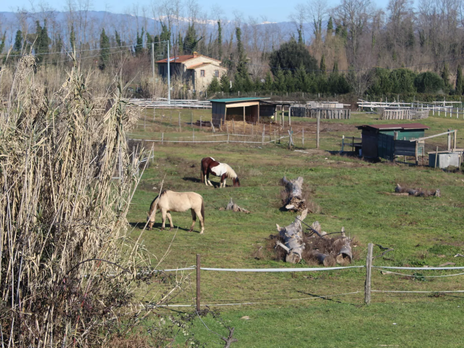 I Sei Filari-Outside