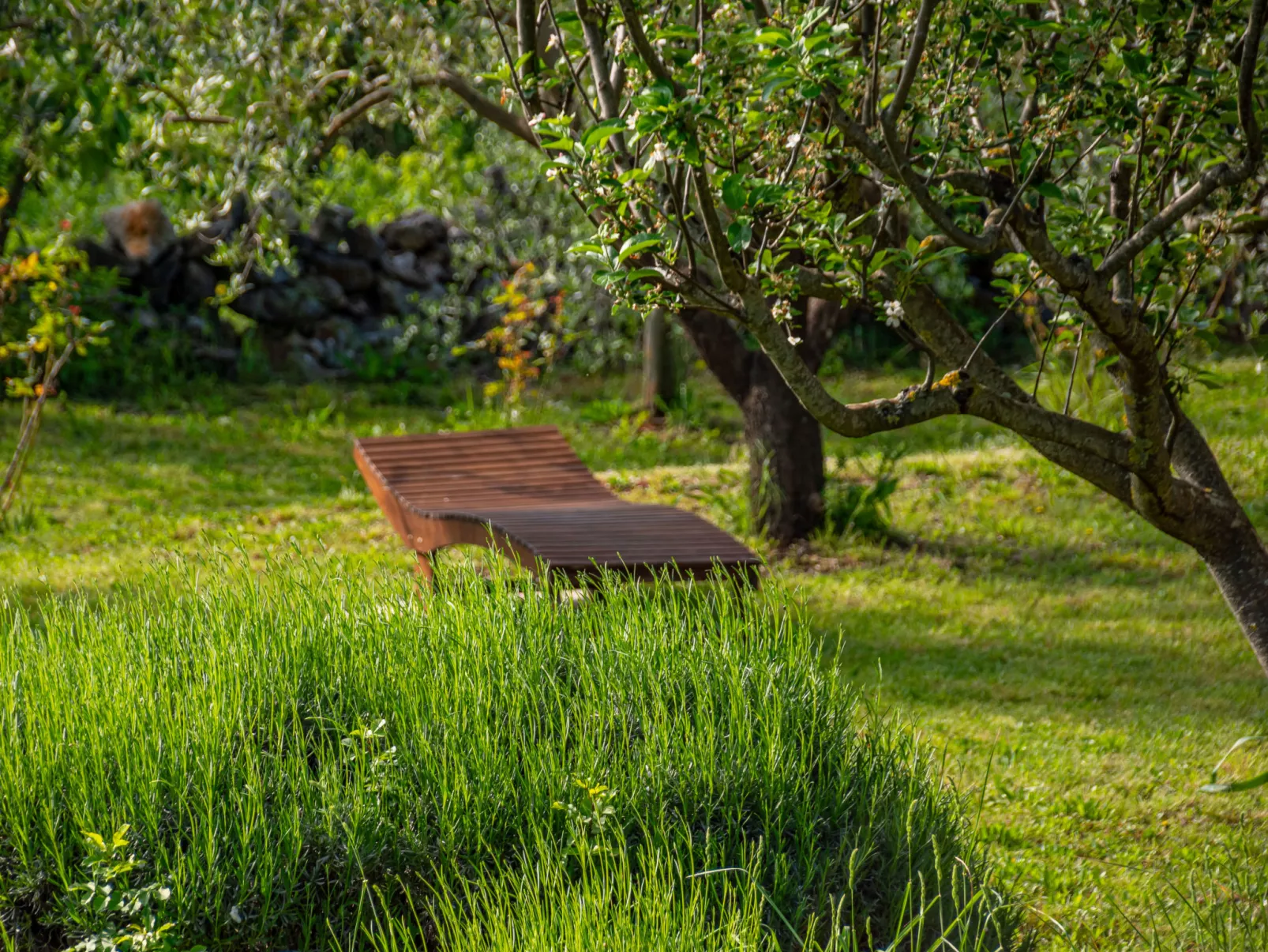Little Tuscany-Outside