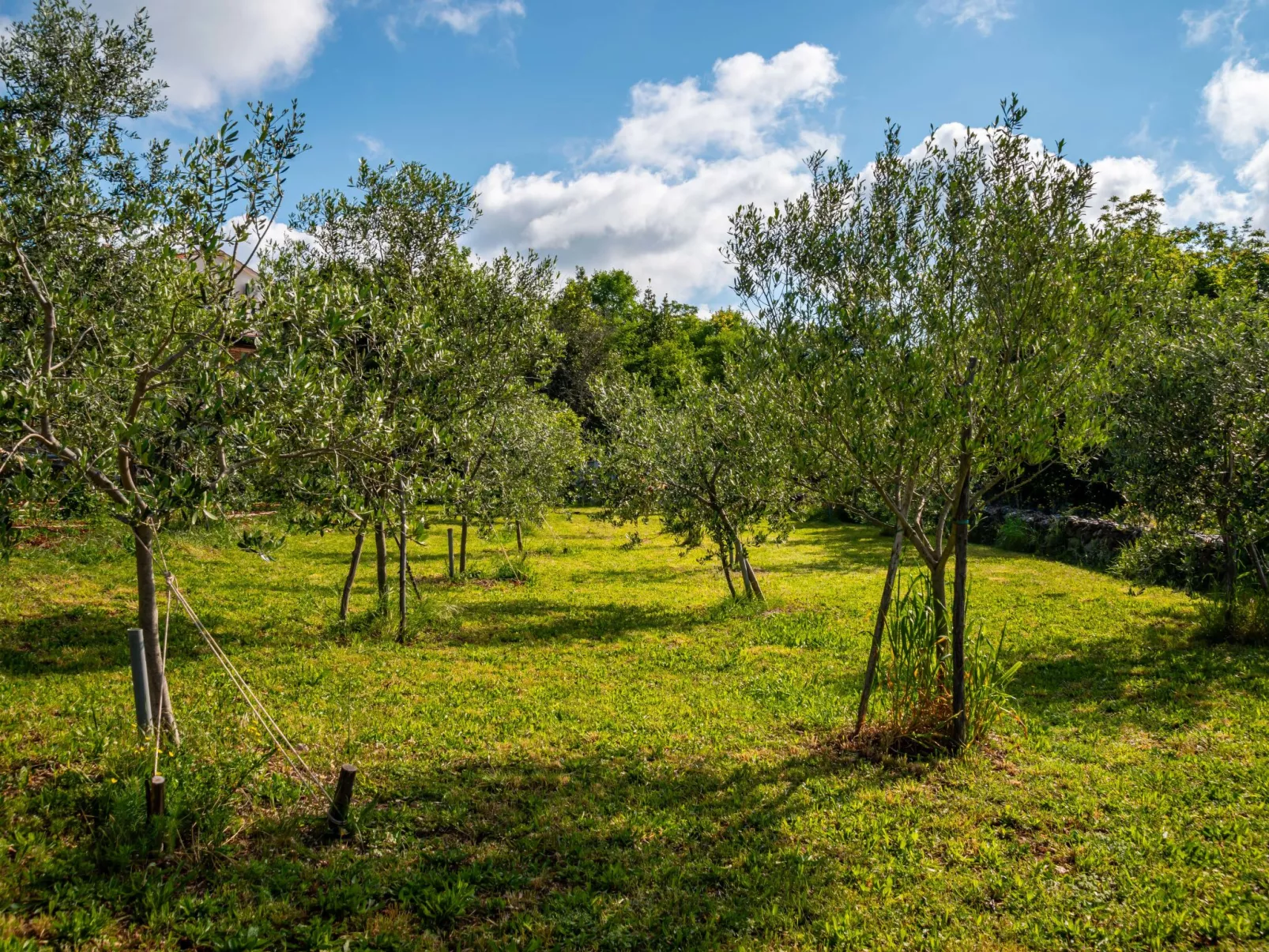 Little Tuscany-Outside