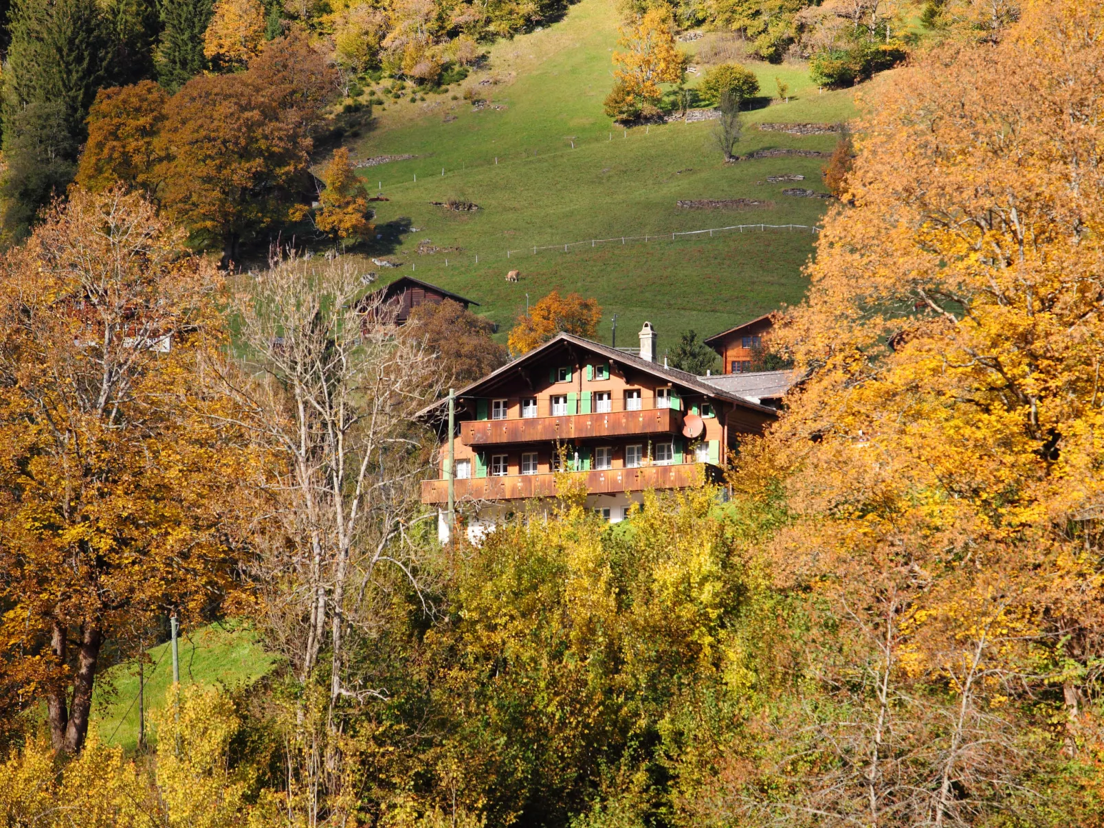 Chalet Auf dem Vogelstein-Outside