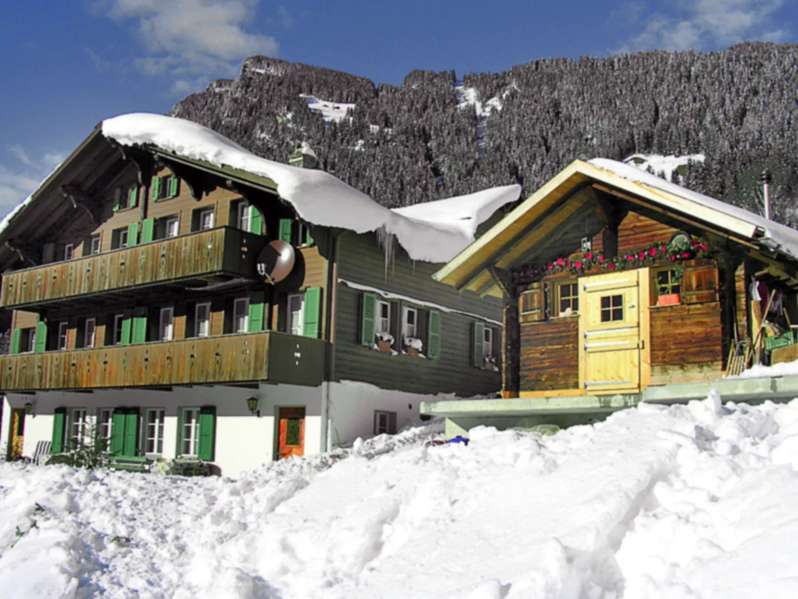 Chalet Auf dem Vogelstein-Outside