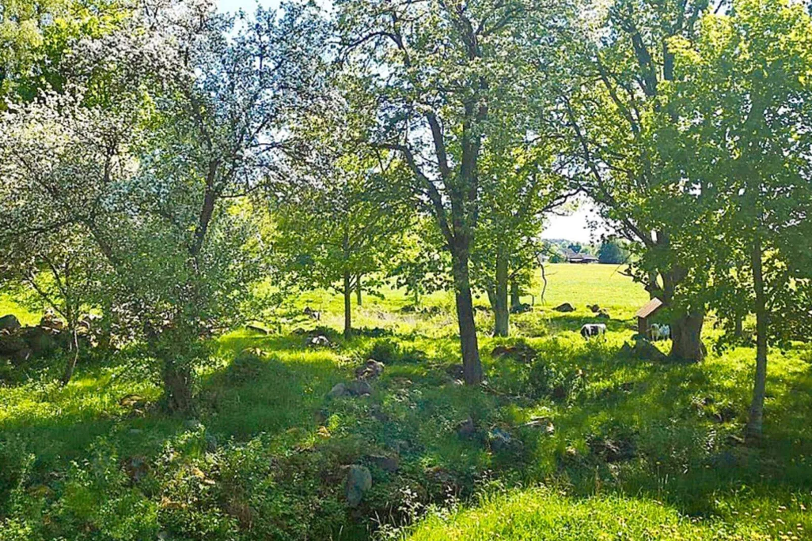 8 person holiday home in HÖGSBY-Outdoor