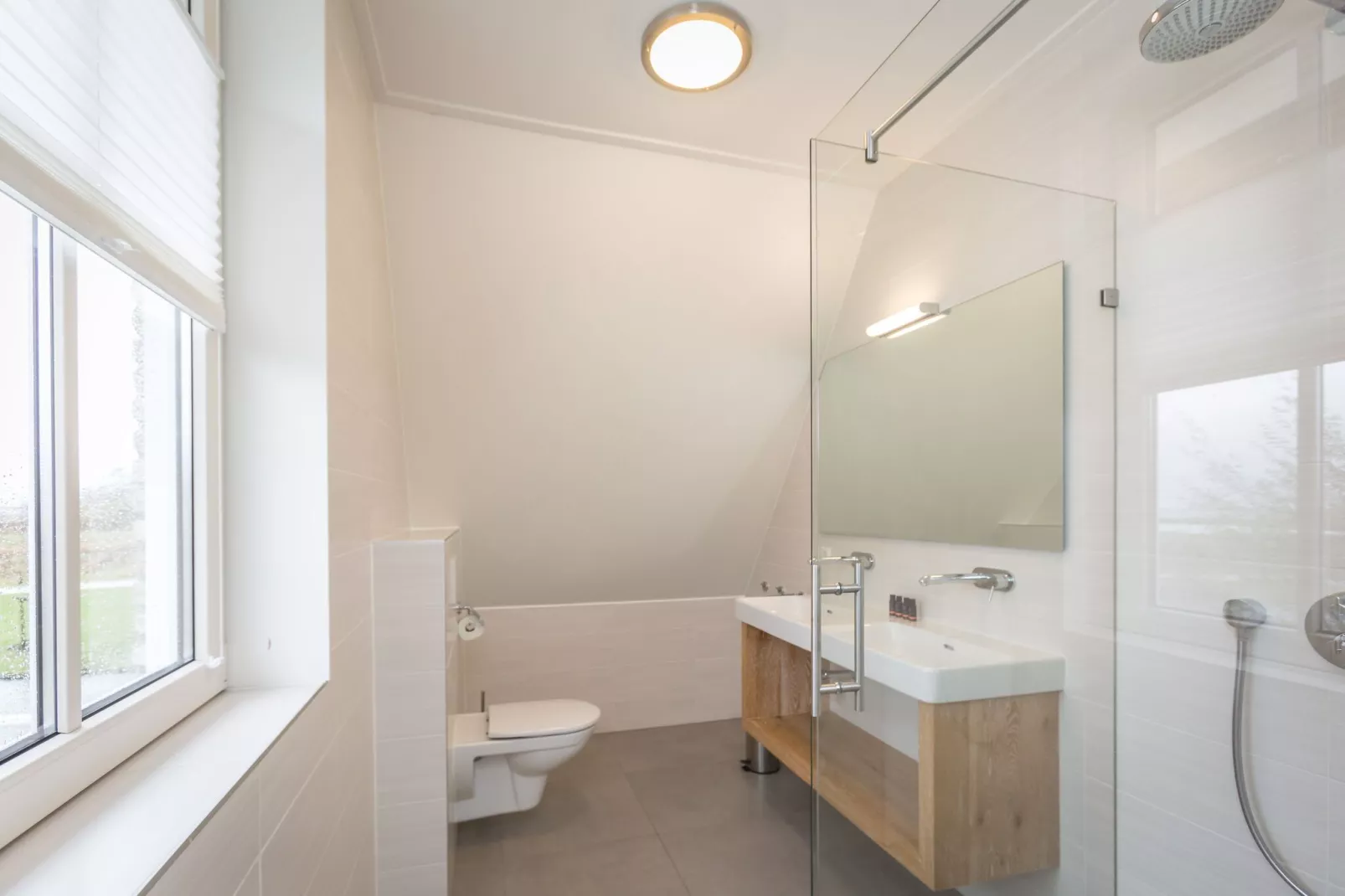 Friese Meren Villa's 17-Bathroom
