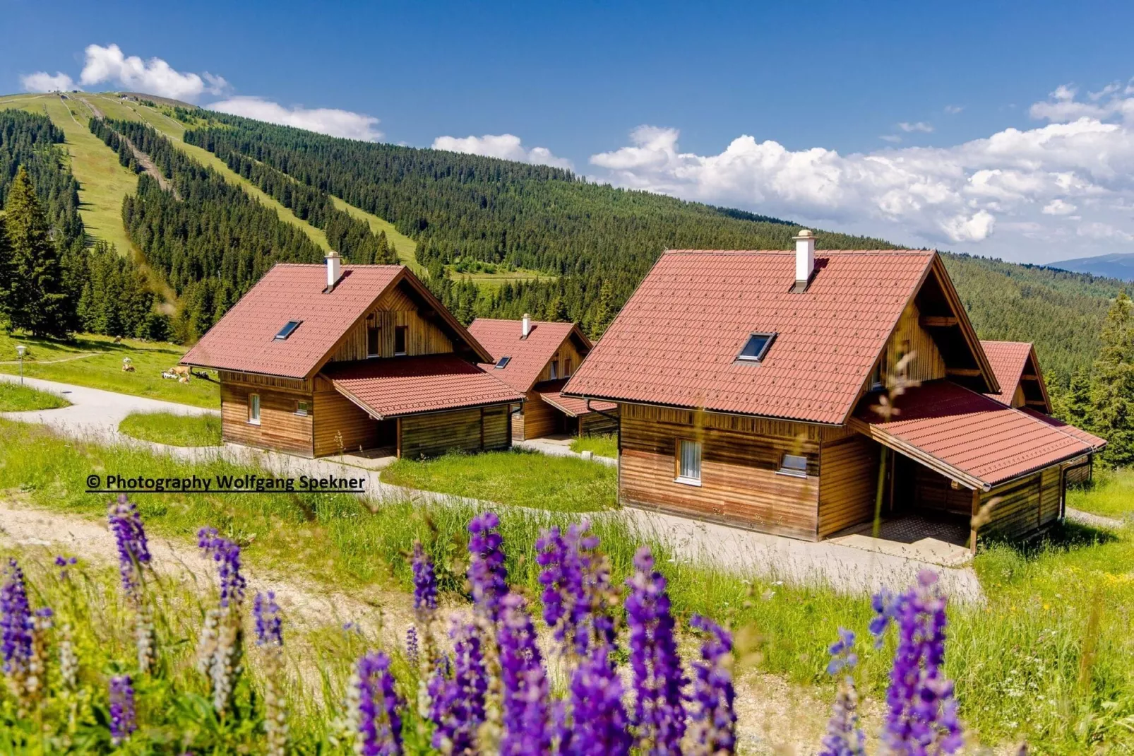 Almdorf Weinebene-Exterior summer