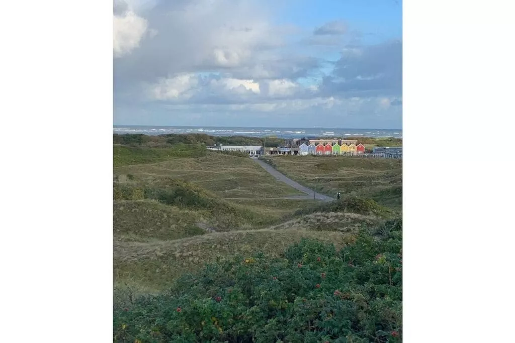 424961-Areas summer 5km