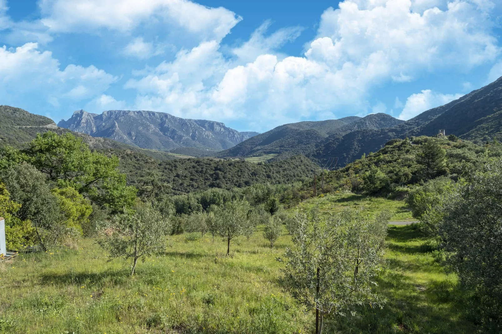 L'Oustal de Vieussan-Areas summer 1km