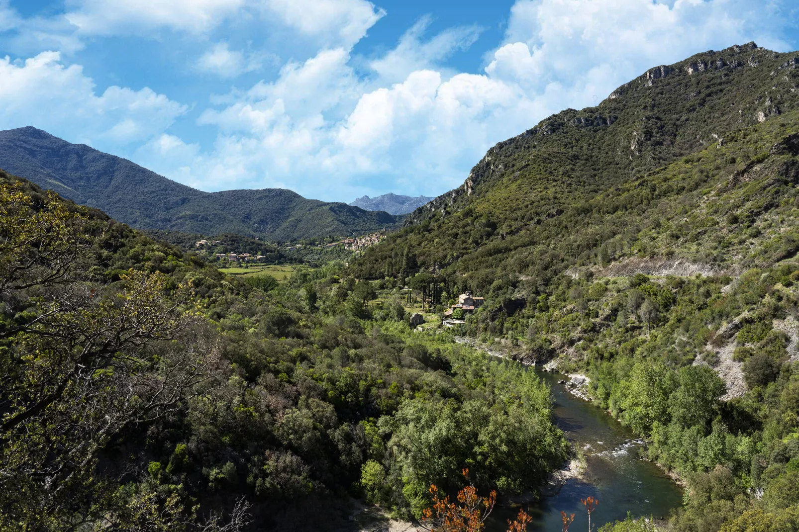 L'Oustal de Vieussan-Areas summer 5km