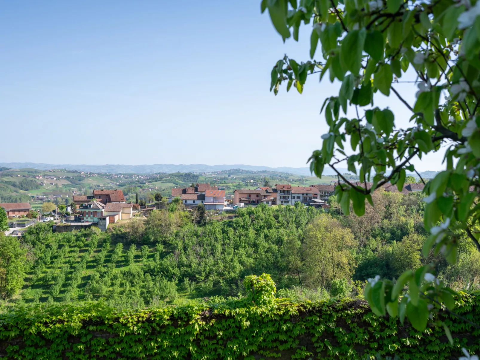 Il Carroccio-Draußen