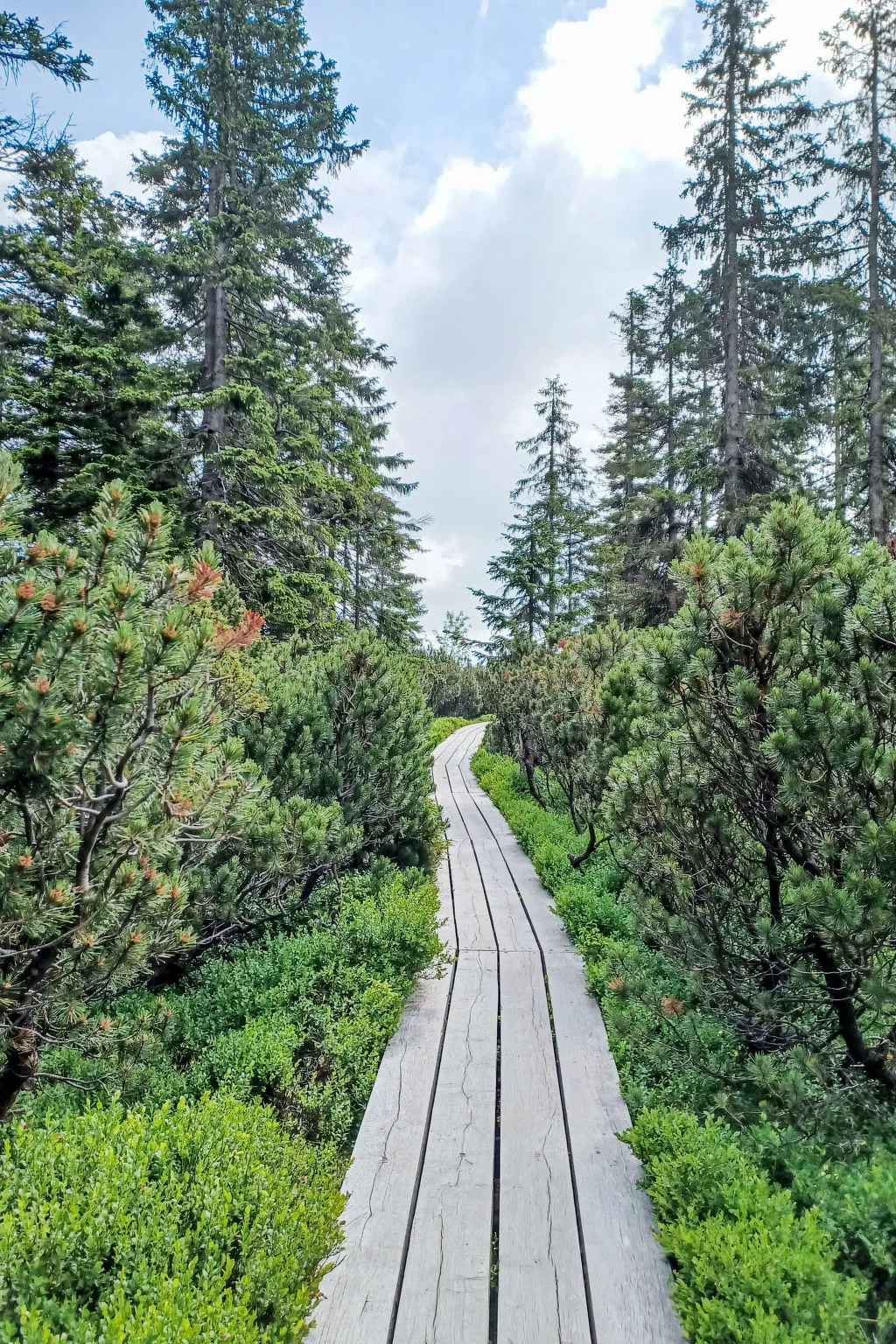 U Kabinky 6+2-Area