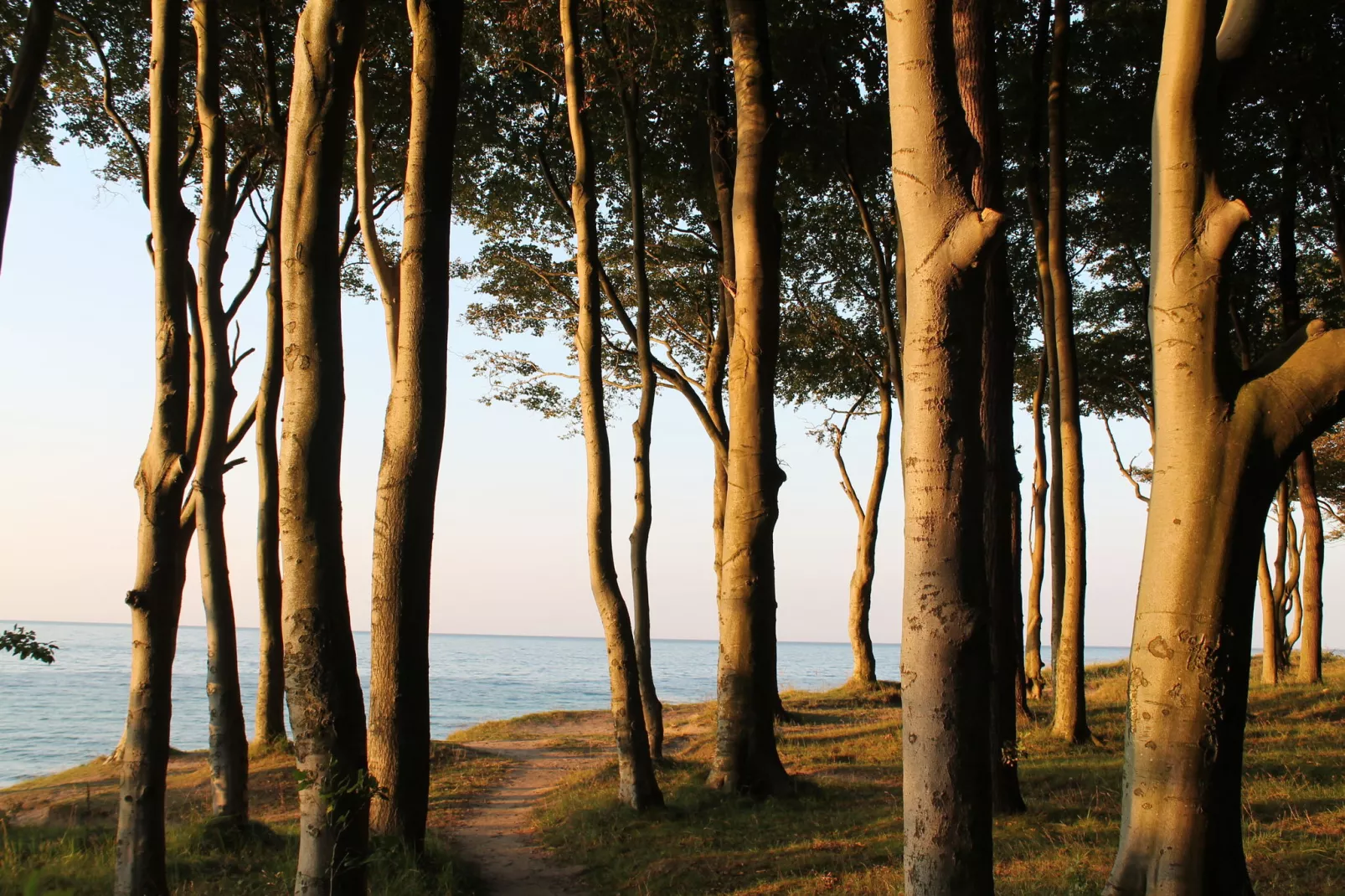 Ferienwohnung Gerda strandnah-Areas summer 5km