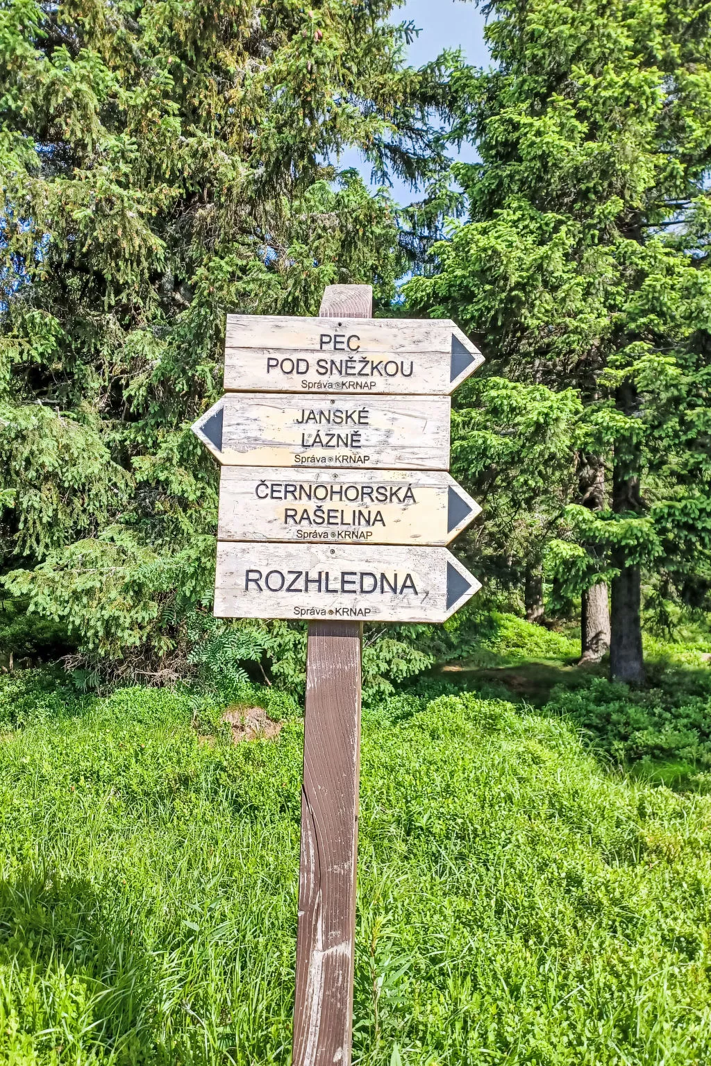 Sluneční stráň II-Area