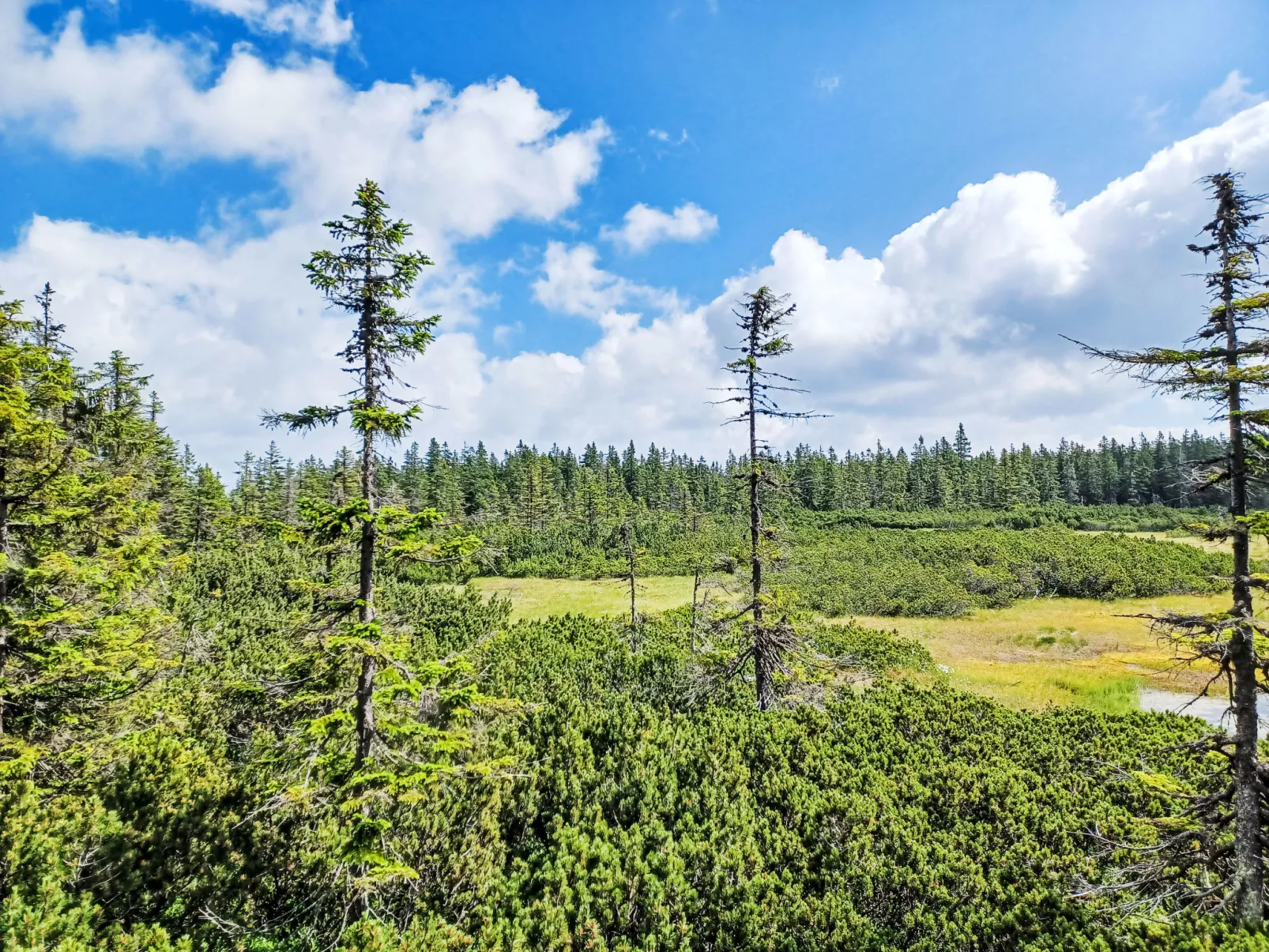 Stříbrný pramen-Area