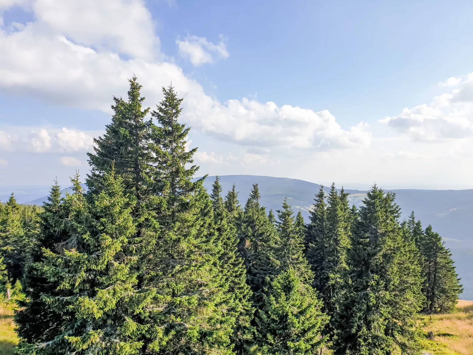 Stříbrný pramen-Area