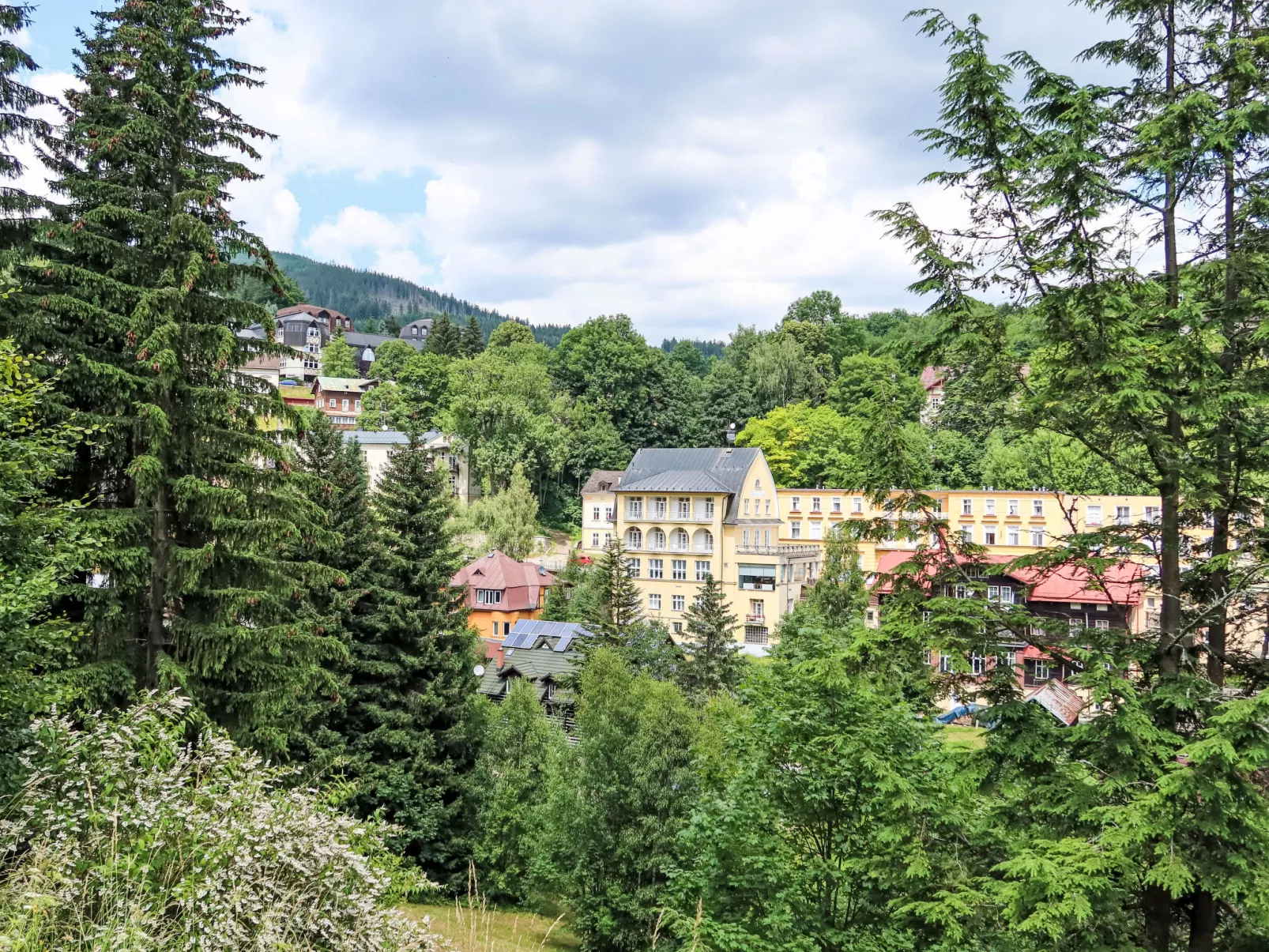 Stříbrný pramen-Area