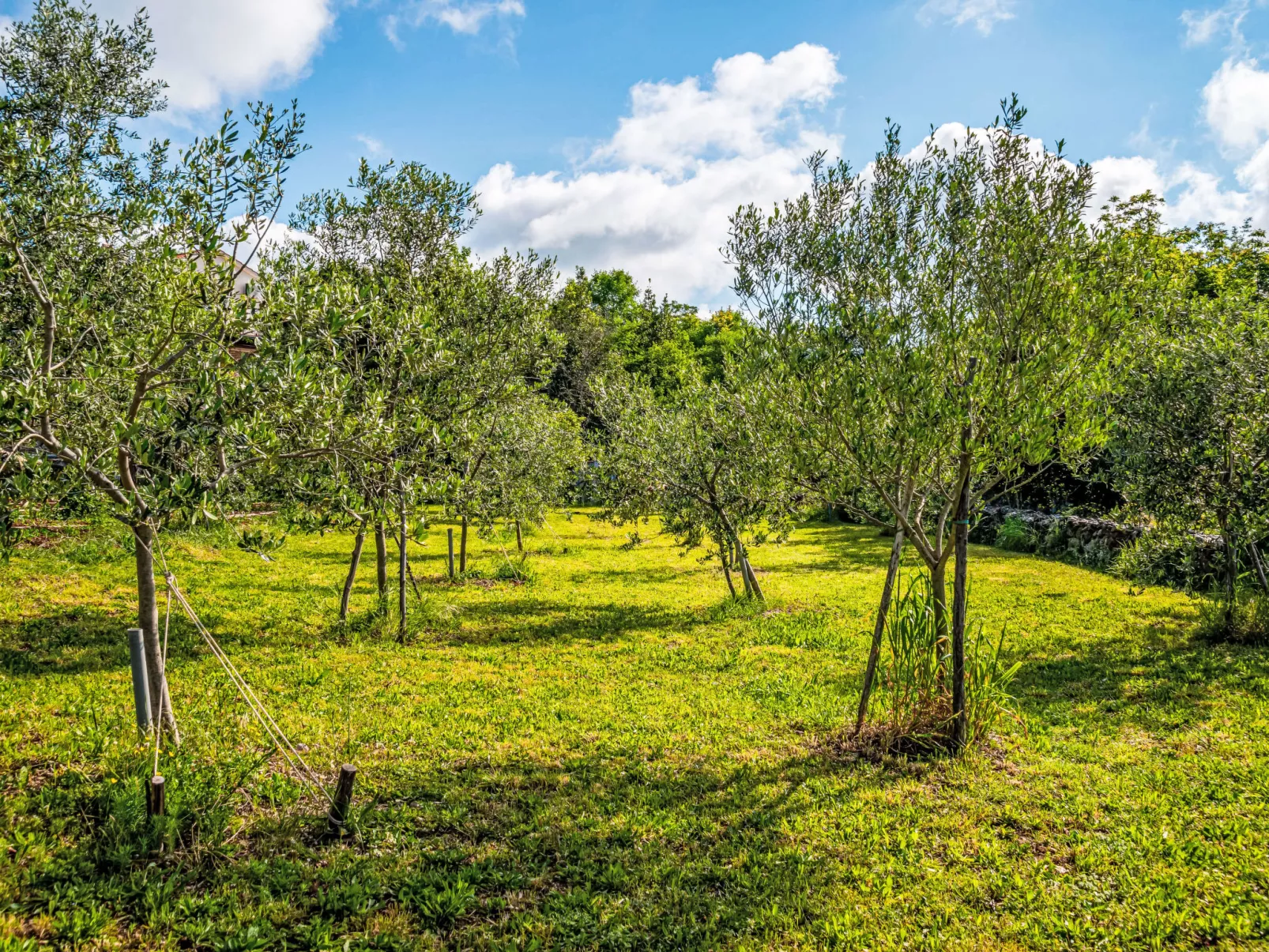 Little Tuscany for Two-Draußen