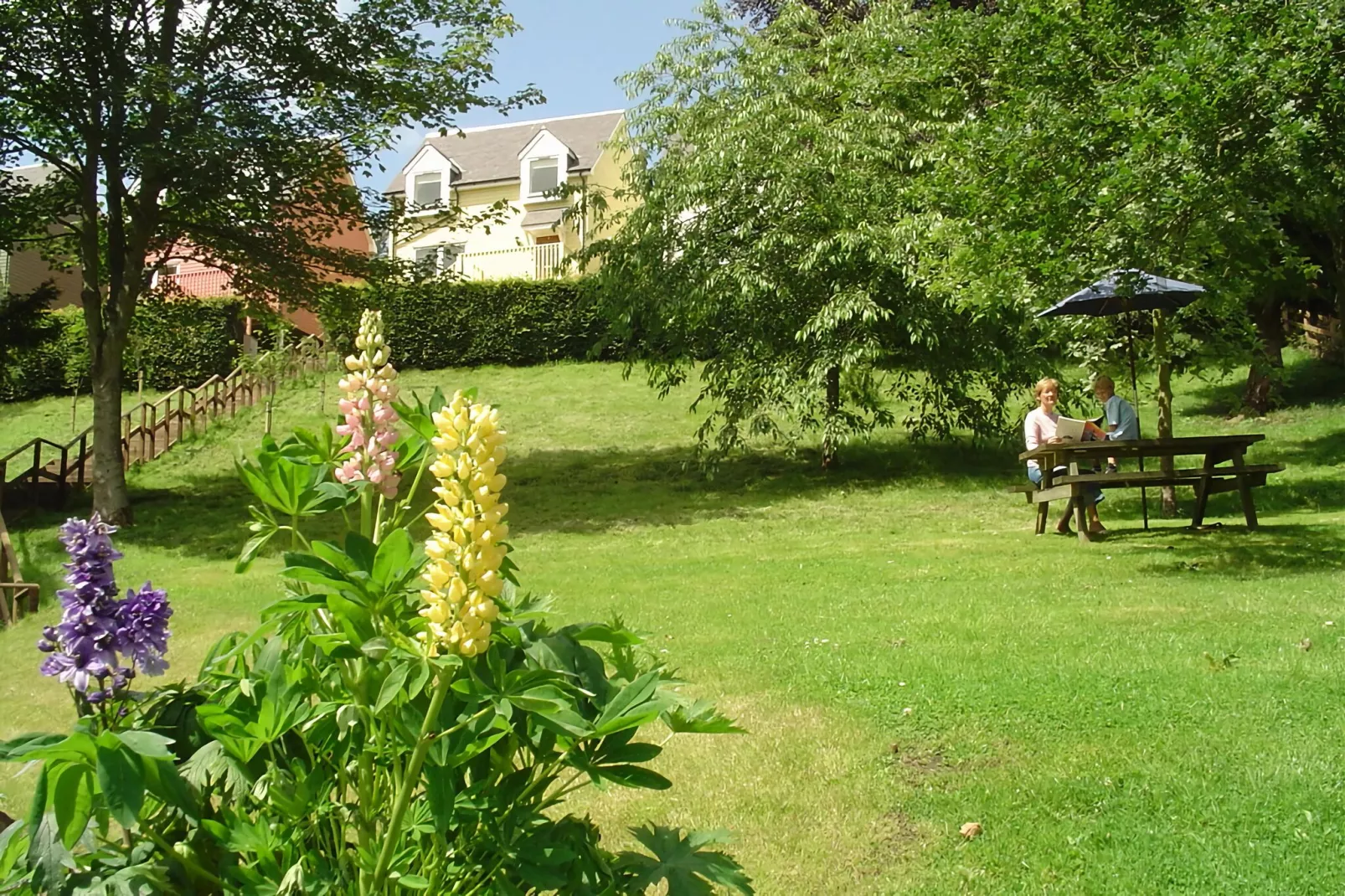 Cheviot-Gardens summer