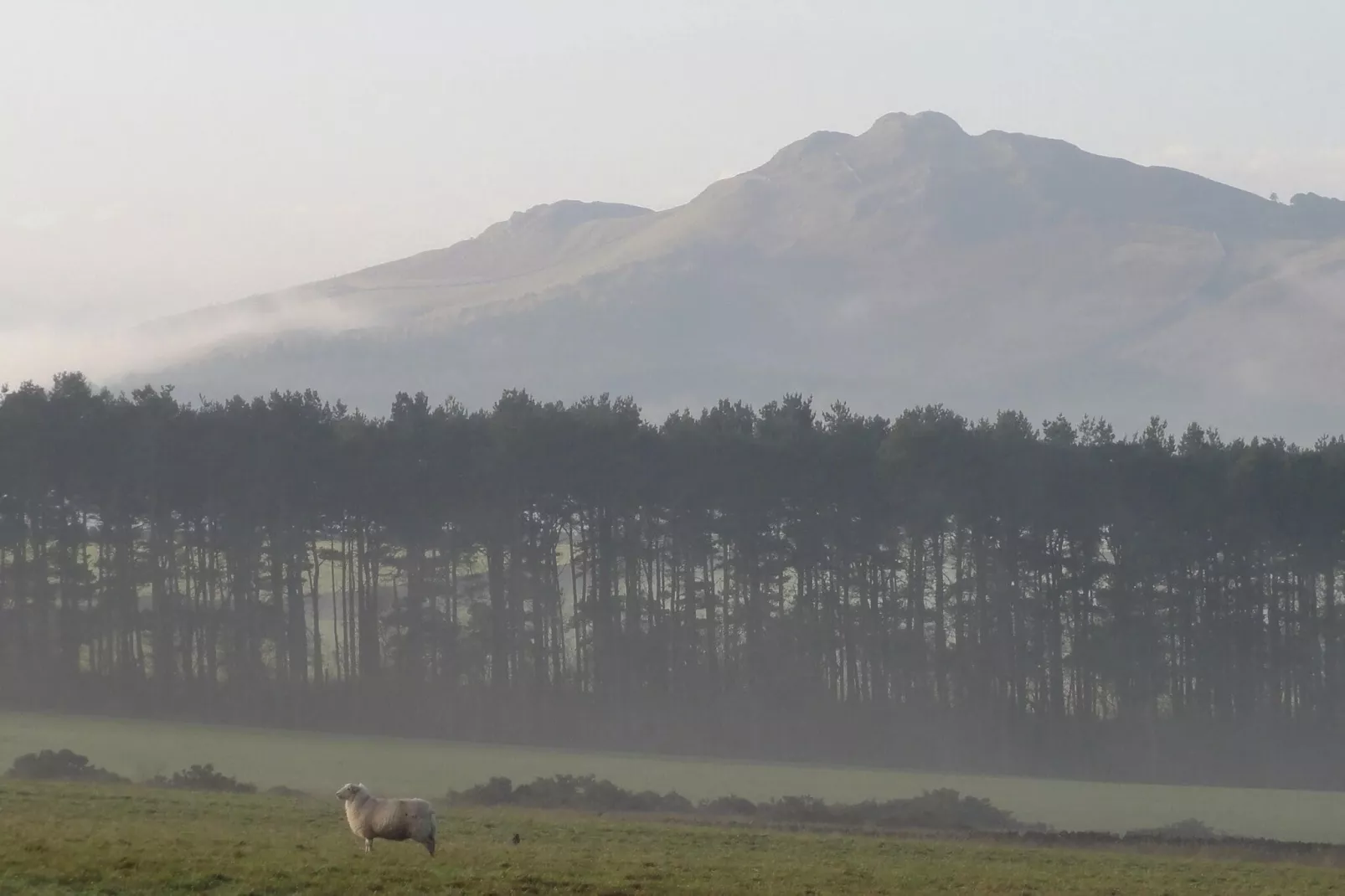 Cheviot-Areas summer 5km