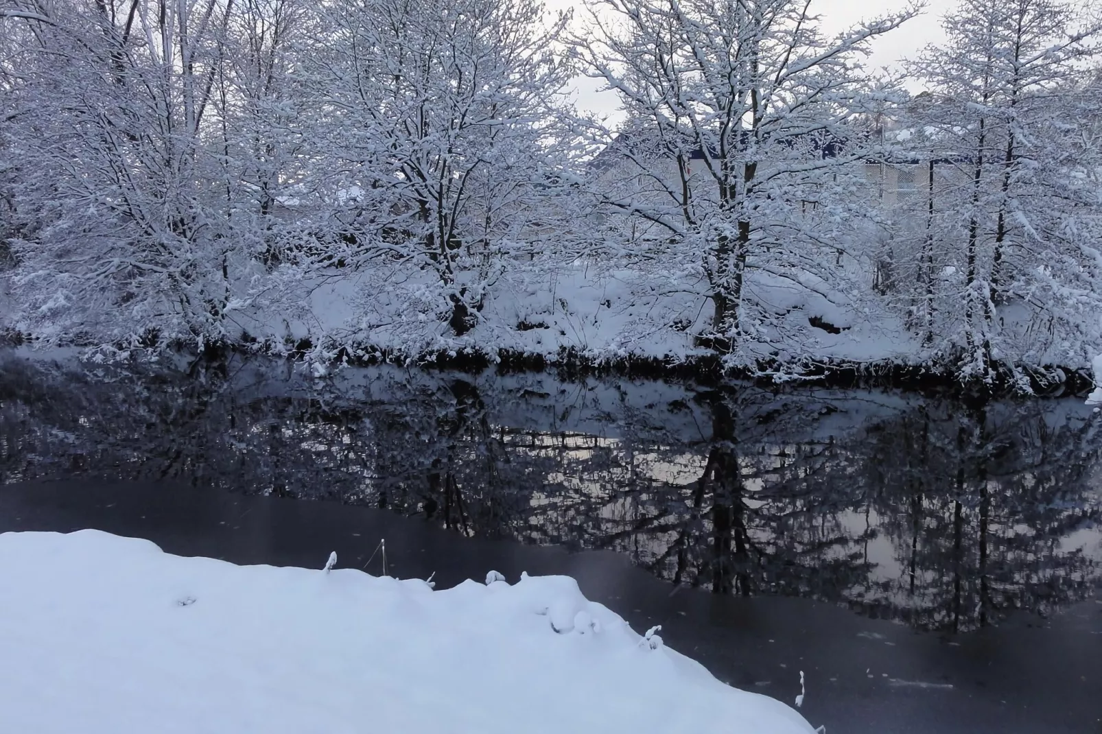 Cheviot-Area winter 5km