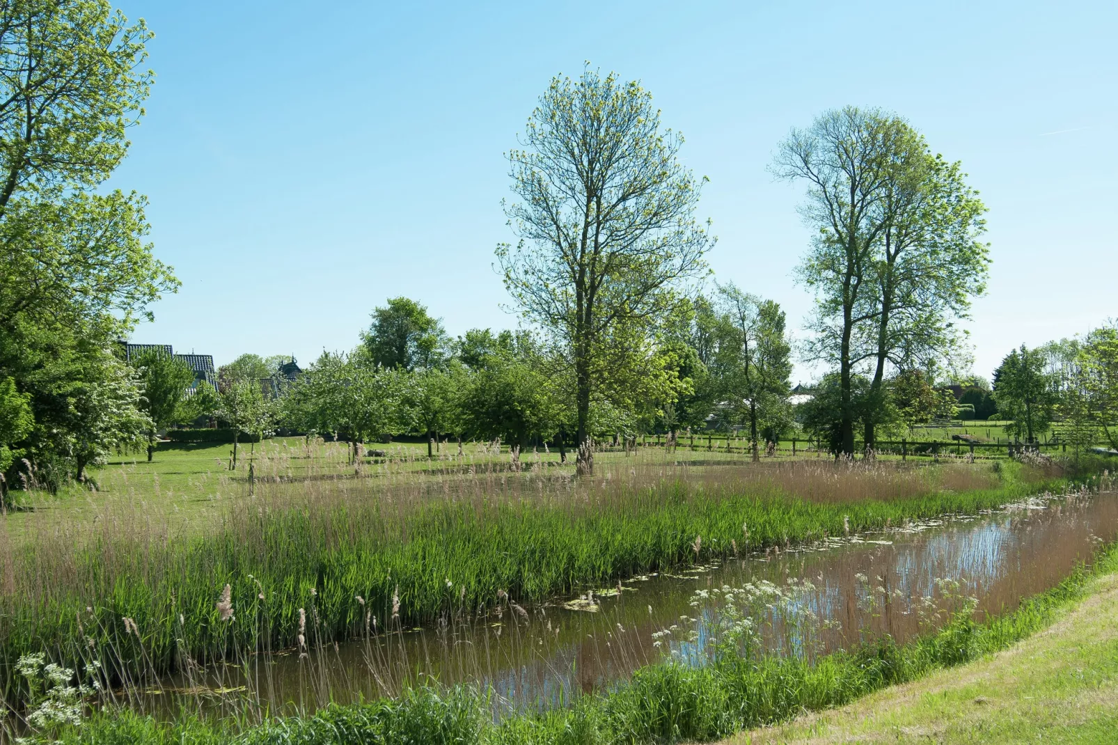 De Waske-Areas summer 1km