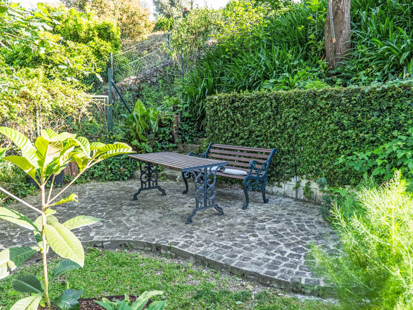 Rio Lima Retreat-Outside
