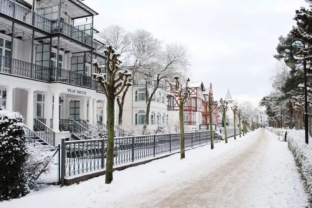 194255-View winter