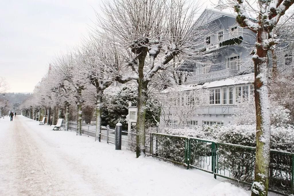 228091-View winter